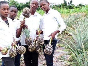 ANANAS