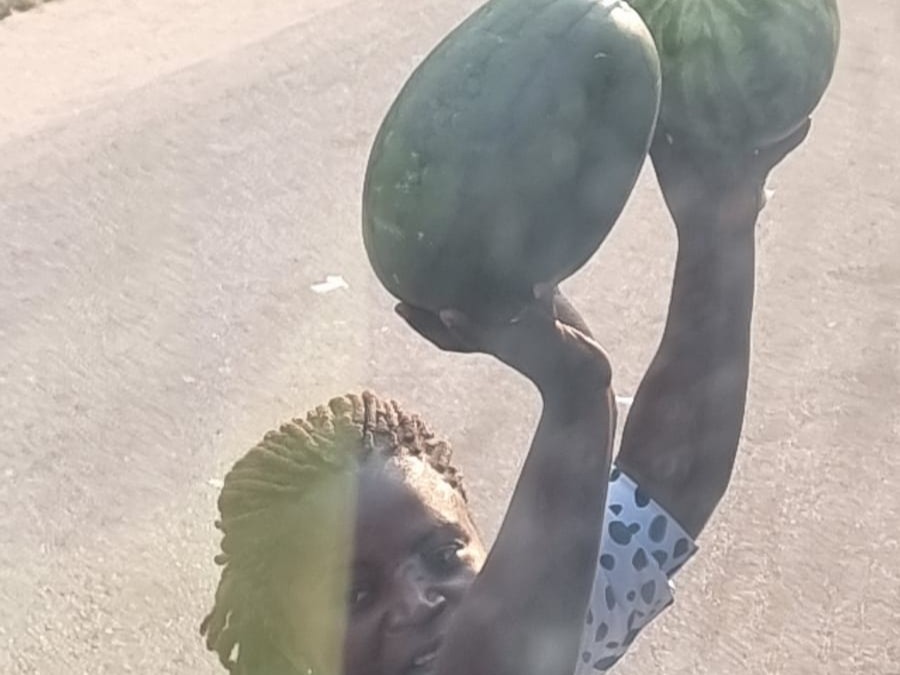 Melonen