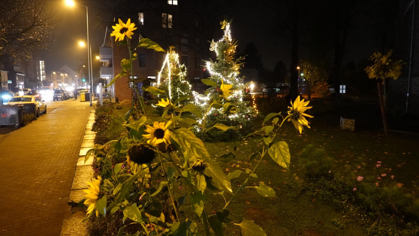 Weihnachtsbaum