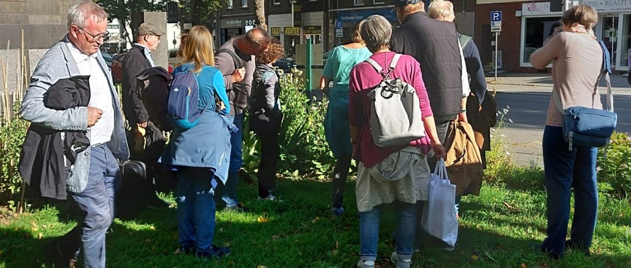 Erklärung des Marienkäfer Überwinterungsquartier