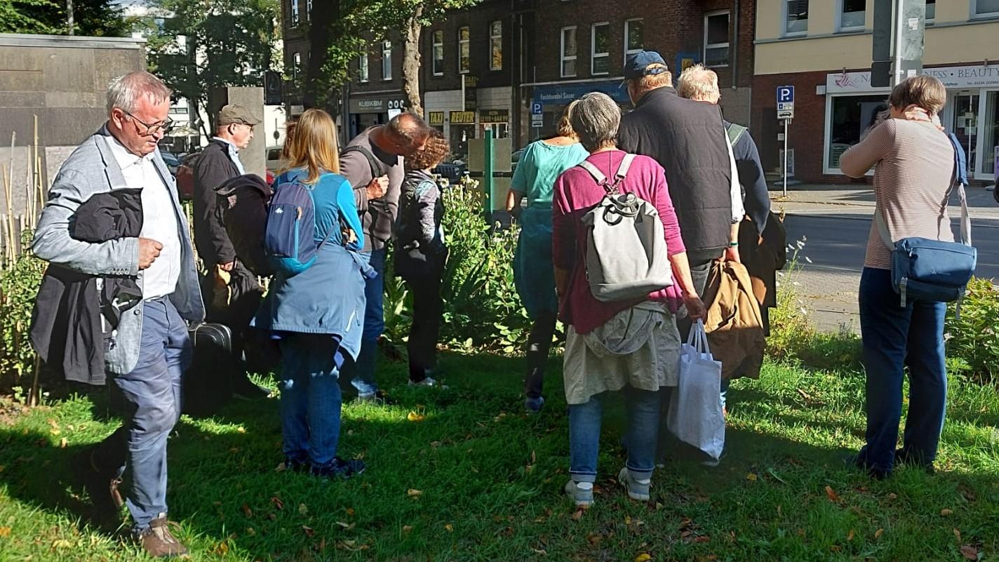 Erklärung des Marienkäfer Überwinterungsquartier