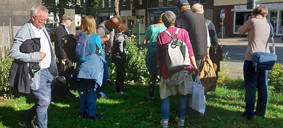 Erklärung des Marienkäfer Überwinterungsquartier