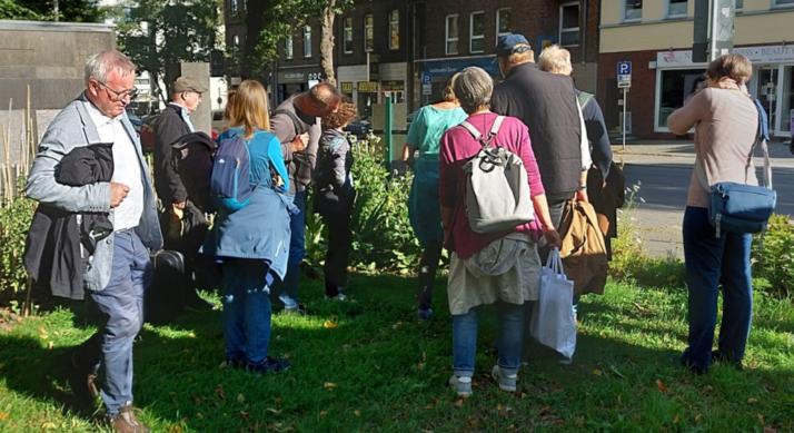 Erklärung des Marienkäfer Überwinterungsquartier