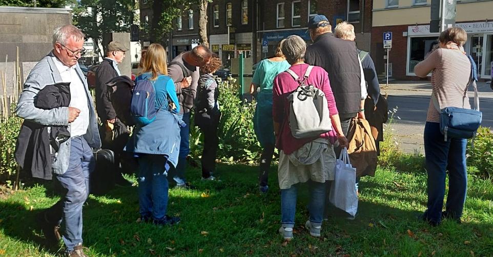 Erklärung des Marienkäfer Überwinterungsquartier