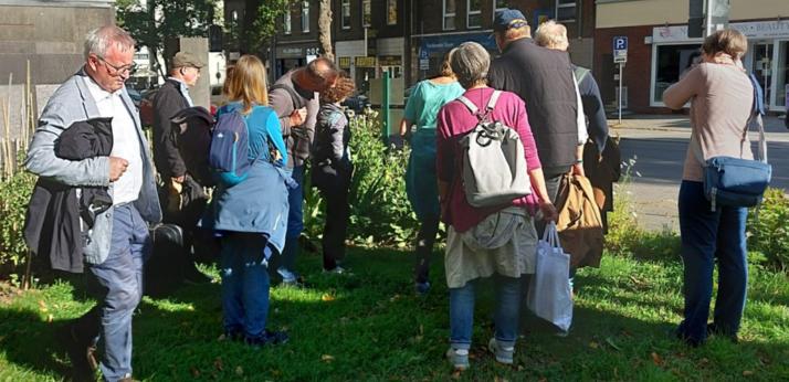 Erklärung des Marienkäfer Überwinterungsquartier