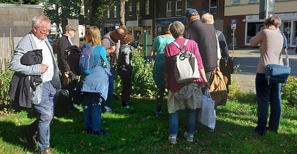 Erklärung des Marienkäfer Überwinterungsquartier