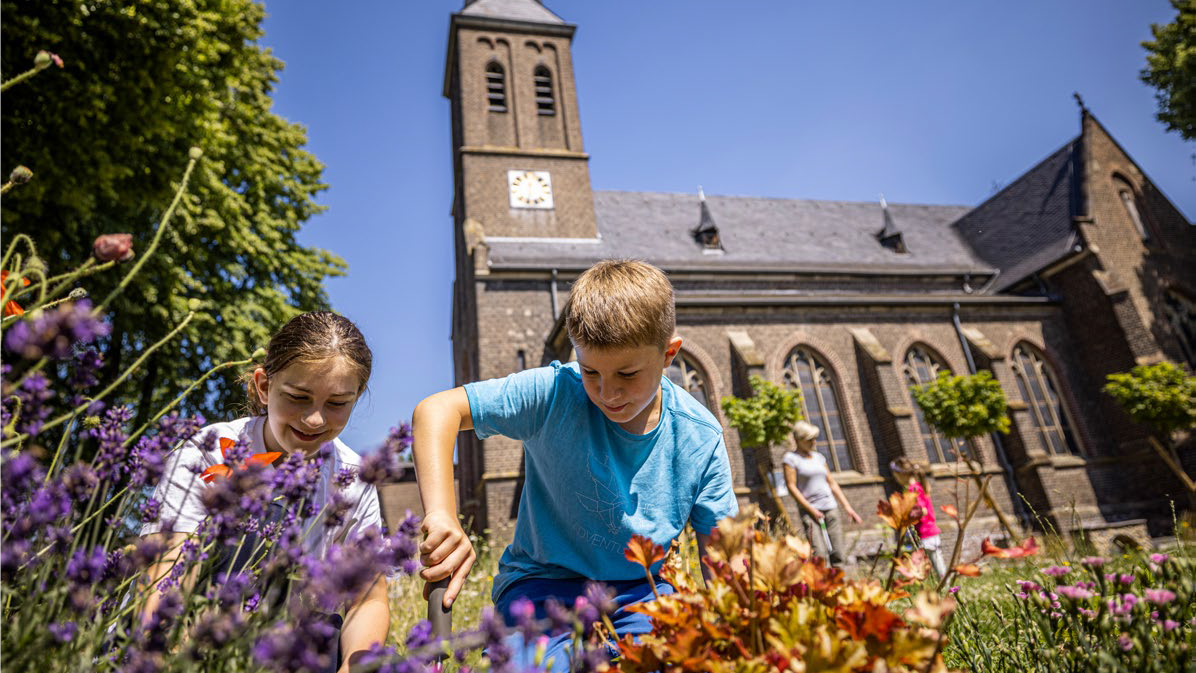 Bild_Blumenwiese