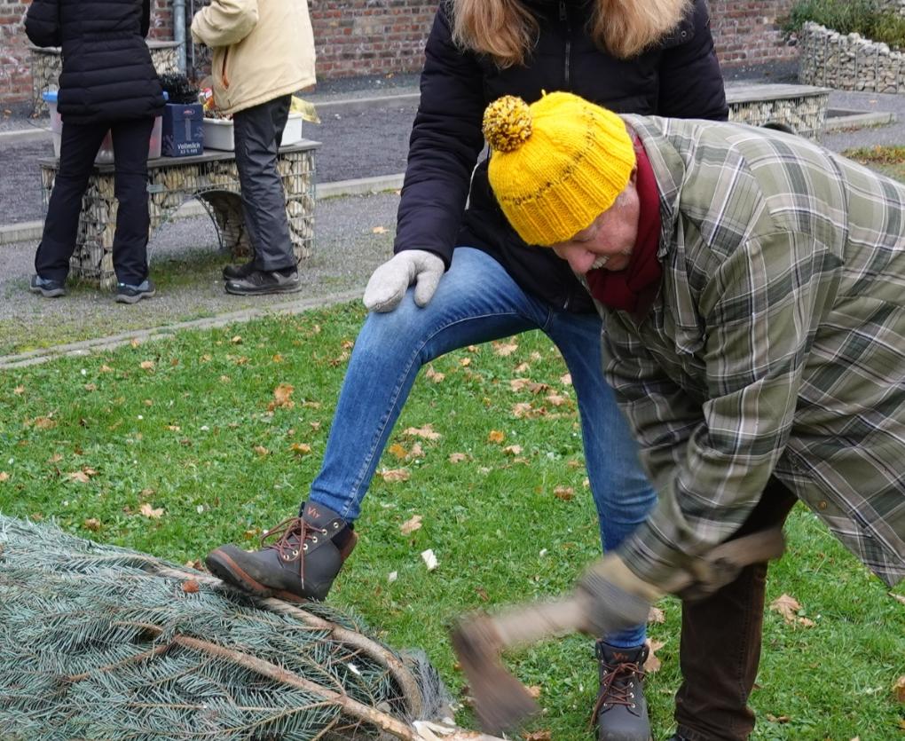 Bernd stutzt den Baum