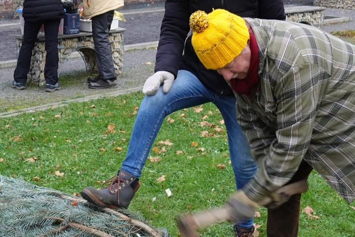 Bernd stutzt den Baum