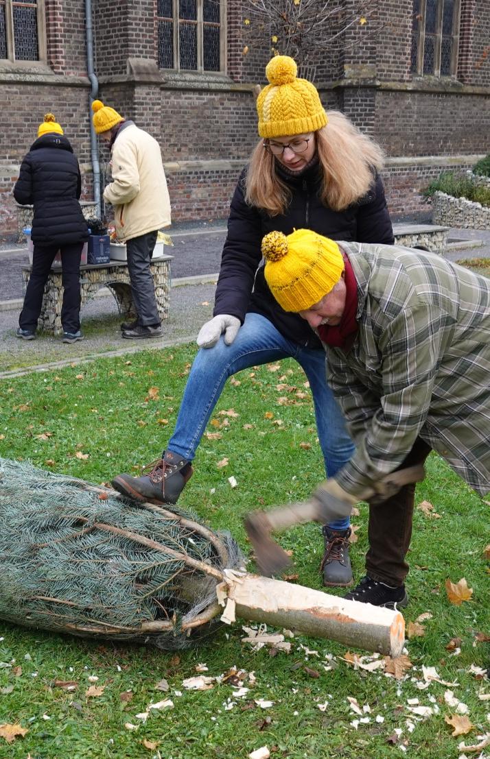 Bernd stutzt den Baum