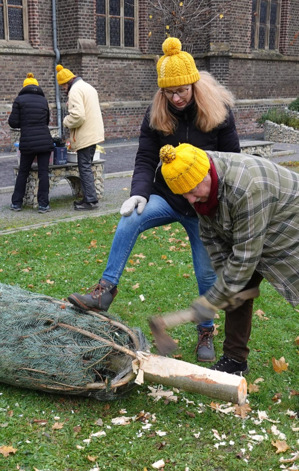 Bernd stutzt den Baum