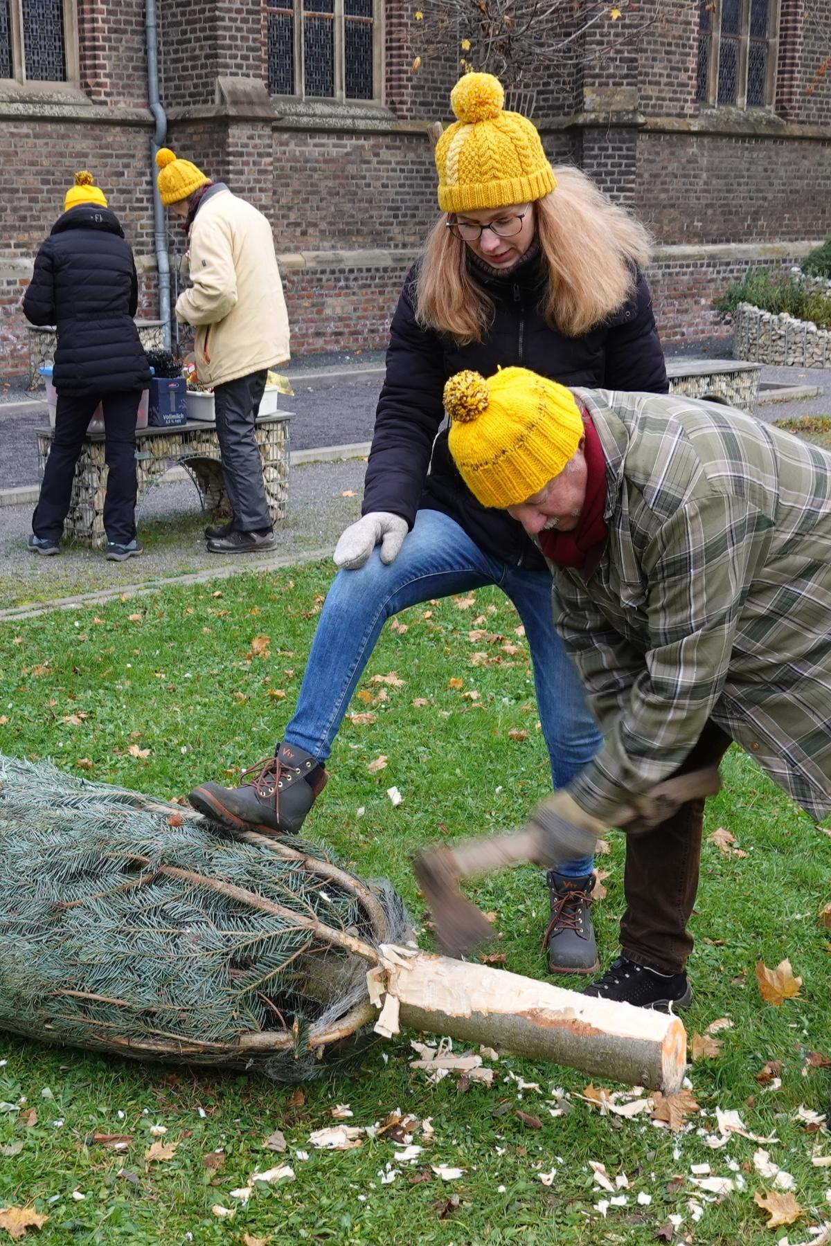 Bernd stutzt den Baum