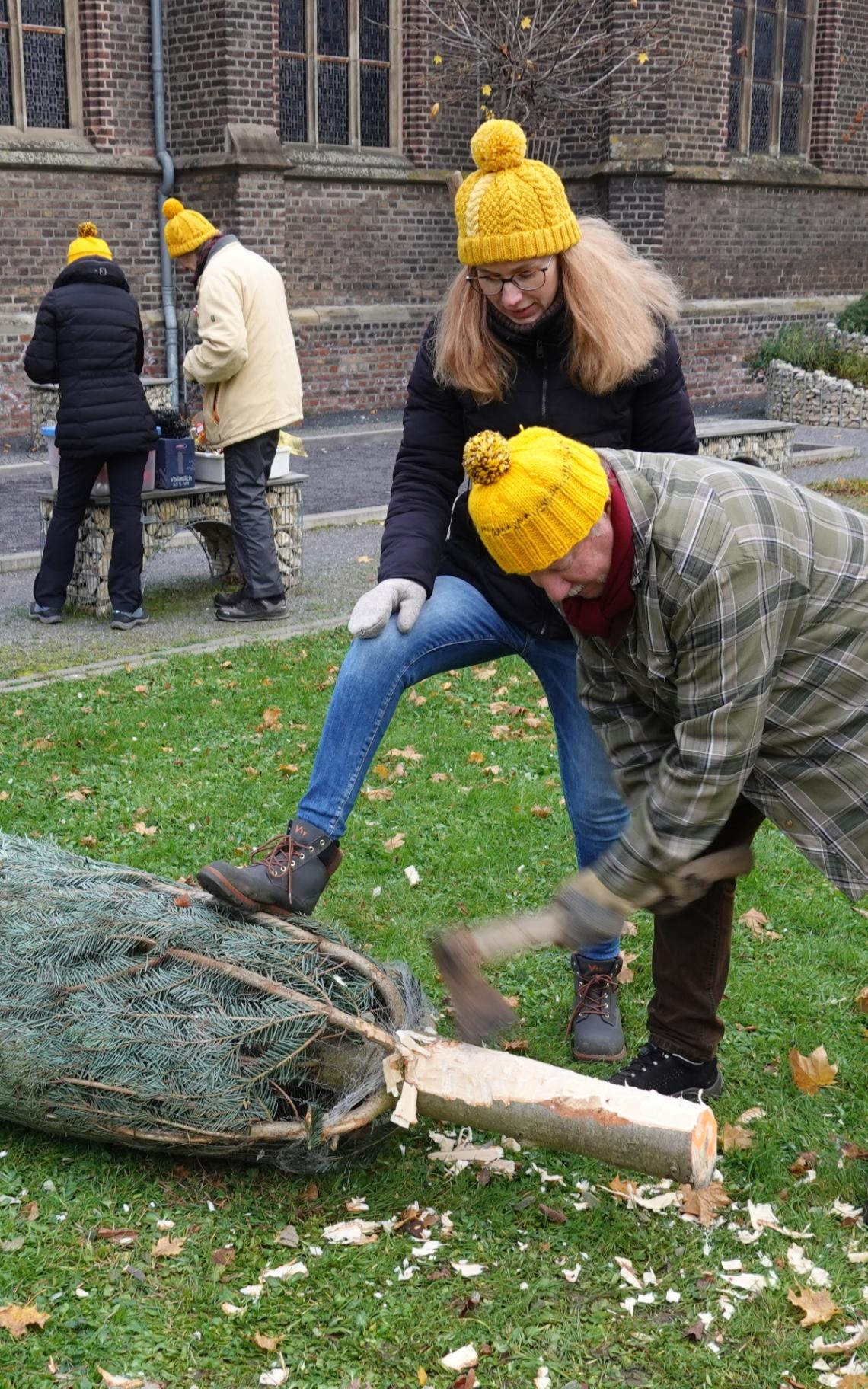 Bernd stutzt den Baum