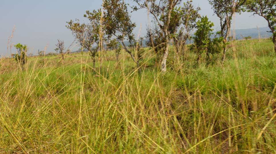 BIS06927
