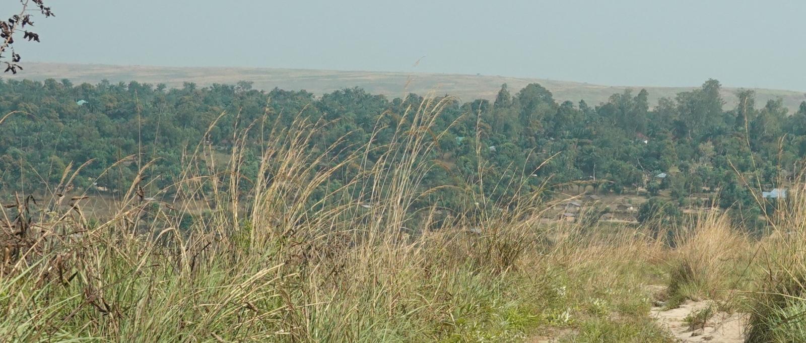 BIS07066