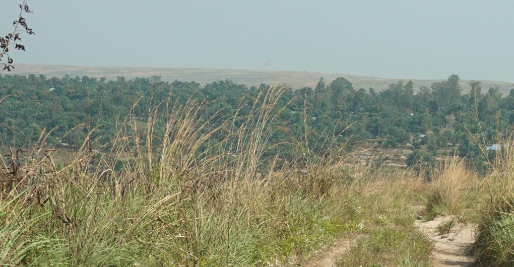 BIS07066