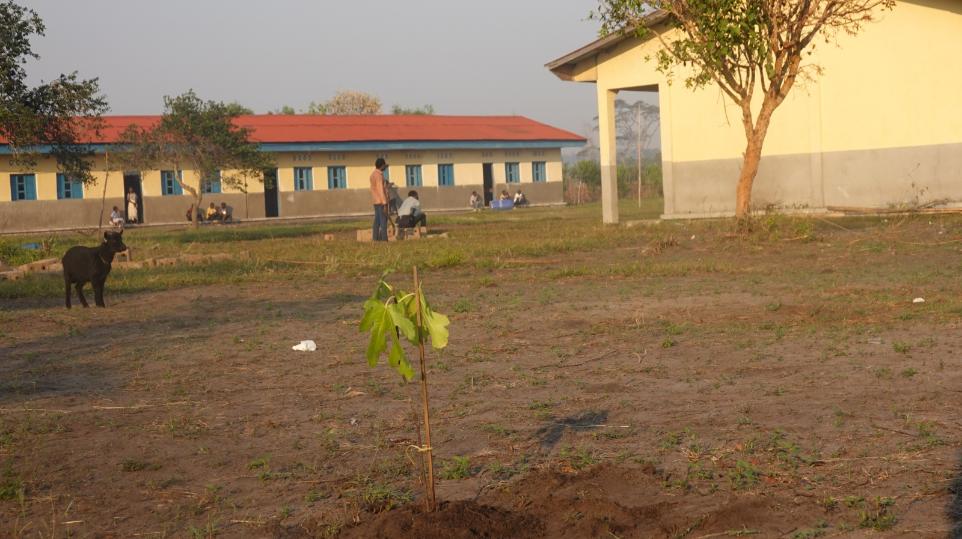 Feigenbaum