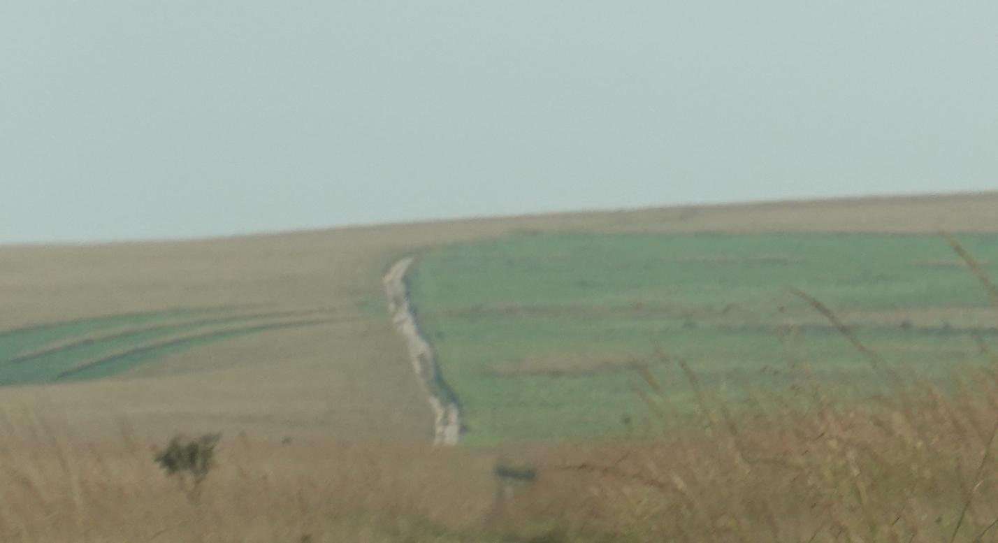 BIS07523