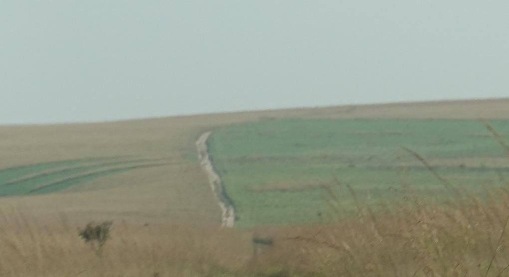BIS07523