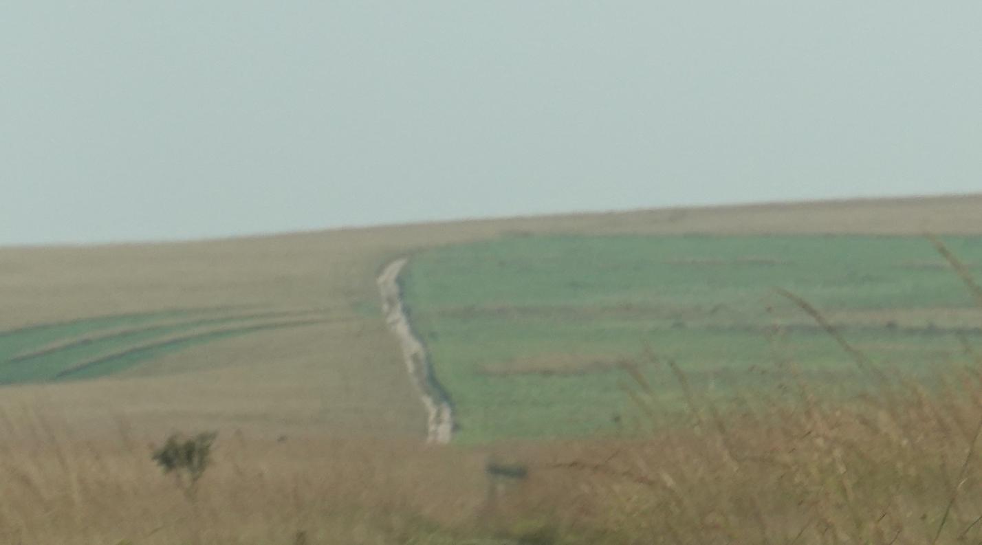 BIS07523