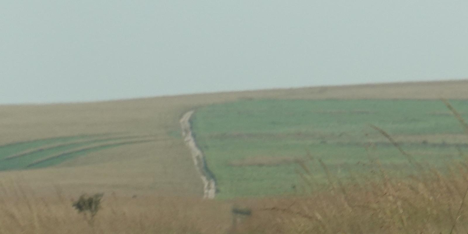 BIS07523