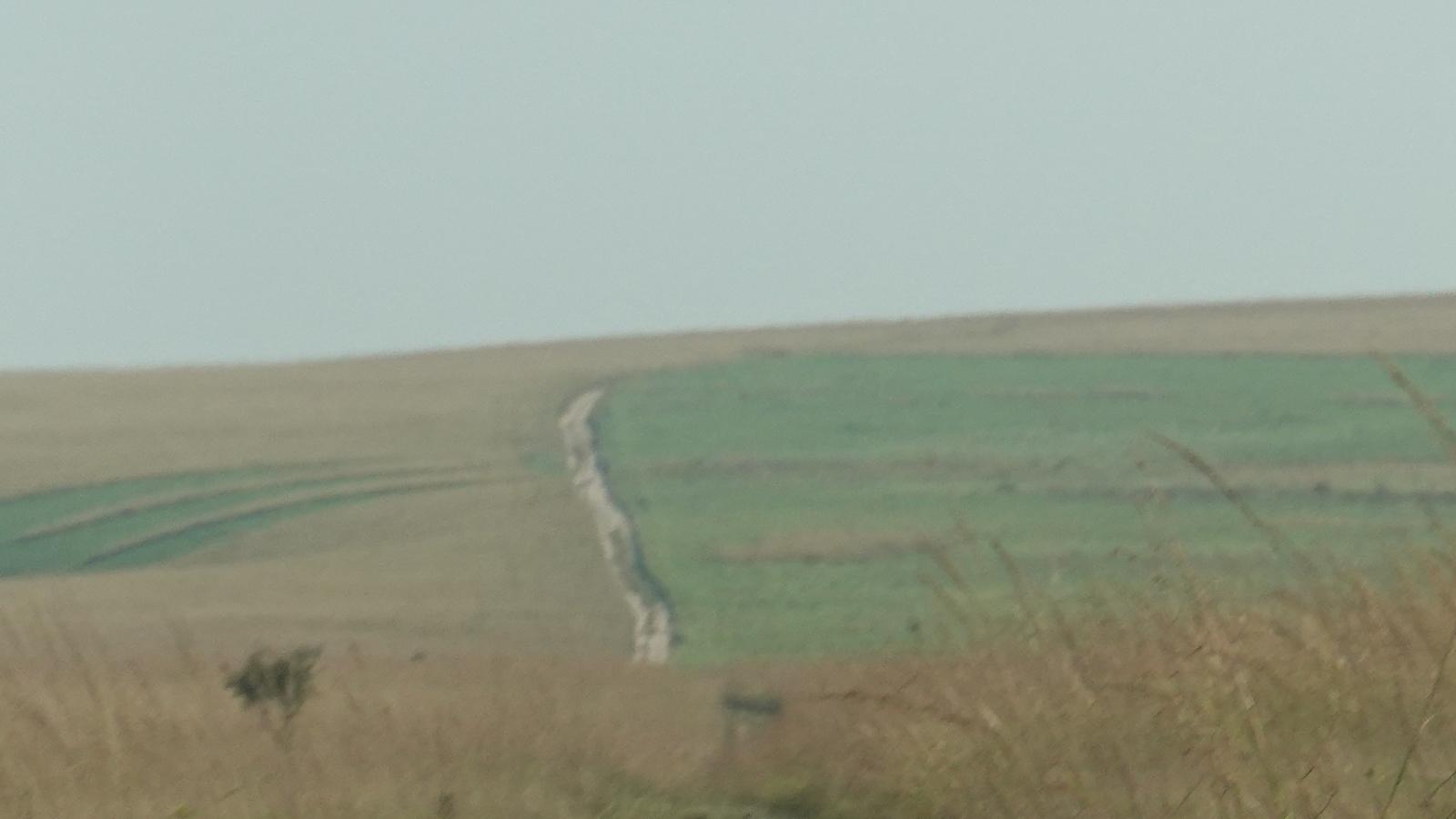 BIS07523