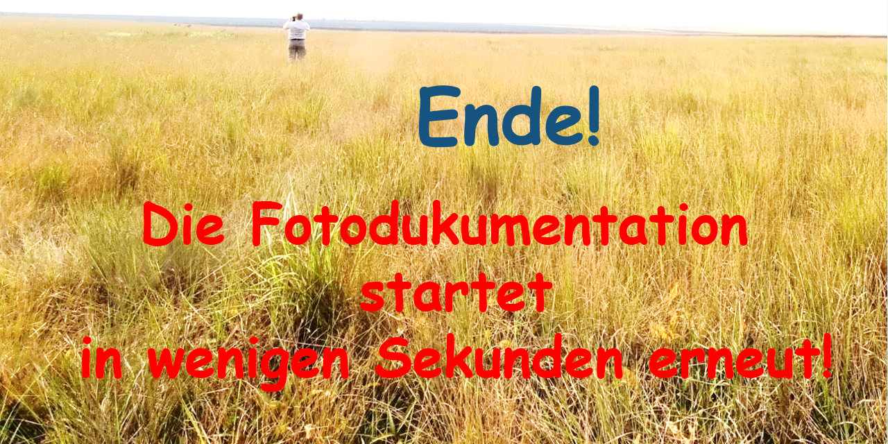 Dokumentation Traktor Ende