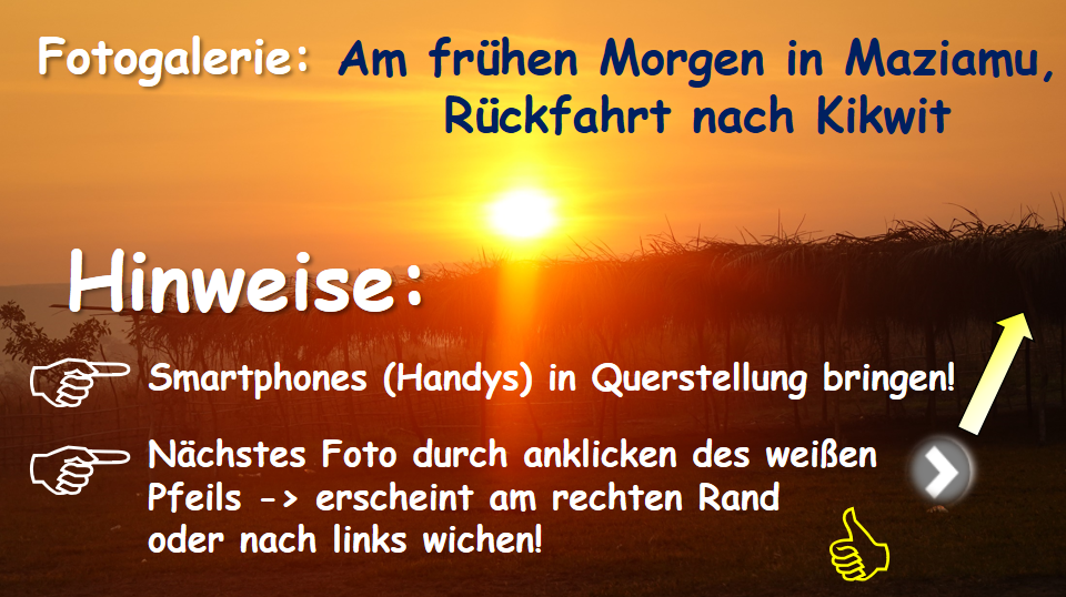 Fotofolge33