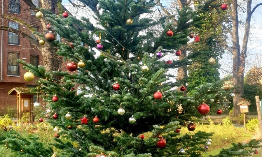 fertiger Baum