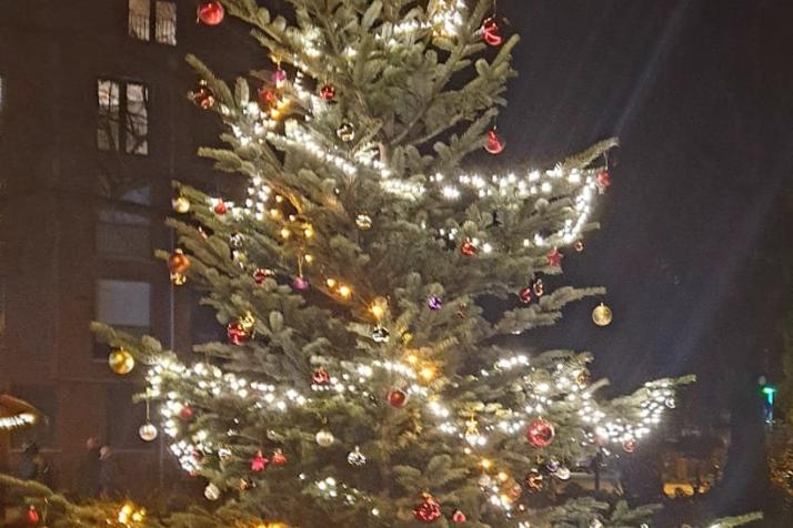 Baum mit Beleuchtung