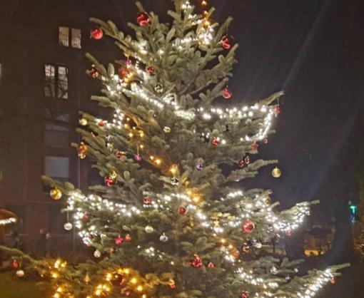 Baum mit Beleuchtung
