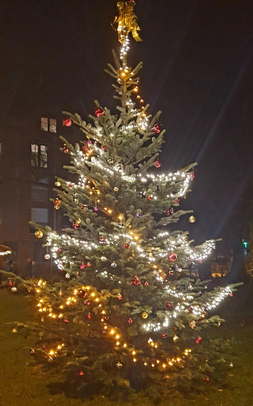 Baum mit Beleuchtung