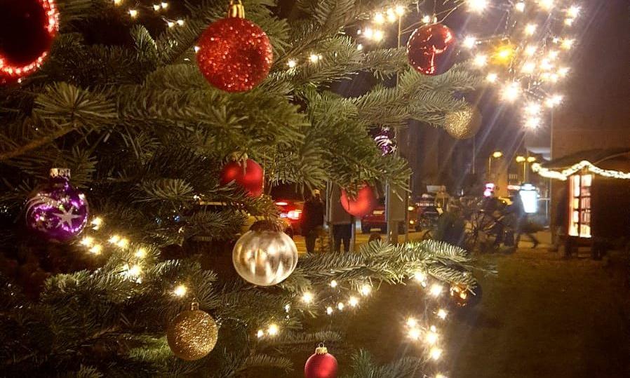 Baum 3