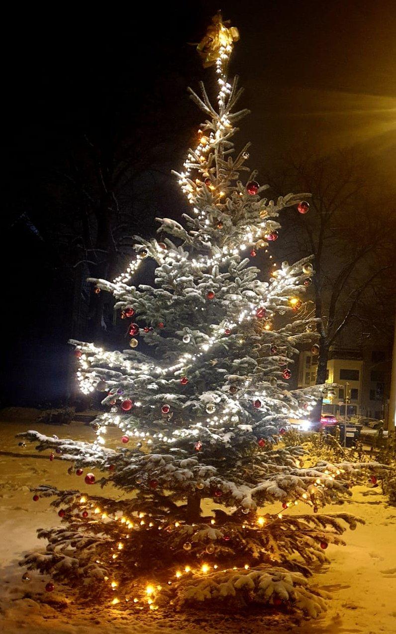 Baum im Schnee