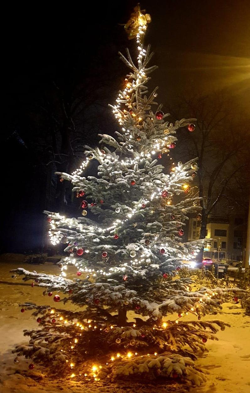 Baum im Schnee