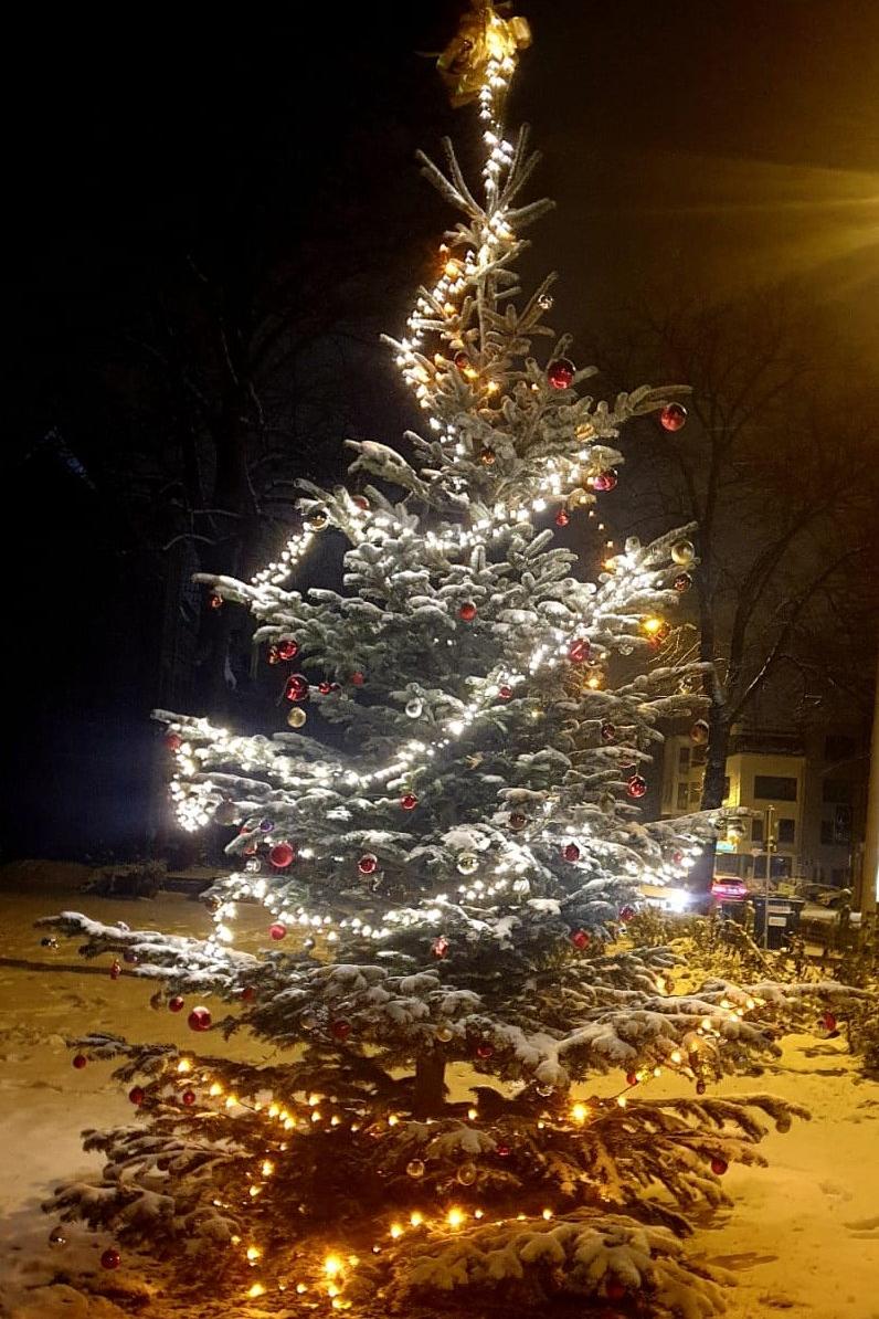 Baum im Schnee