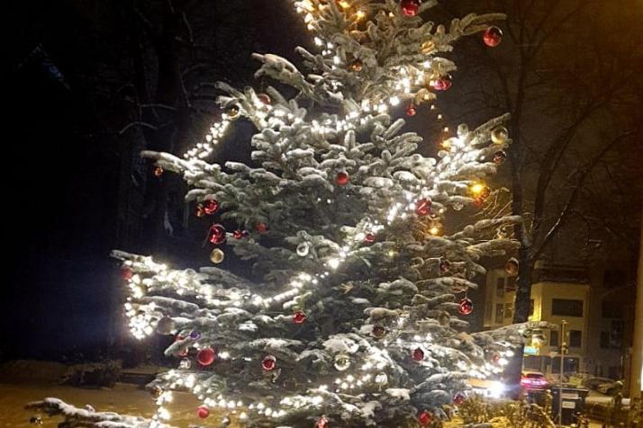 Baum im Schnee