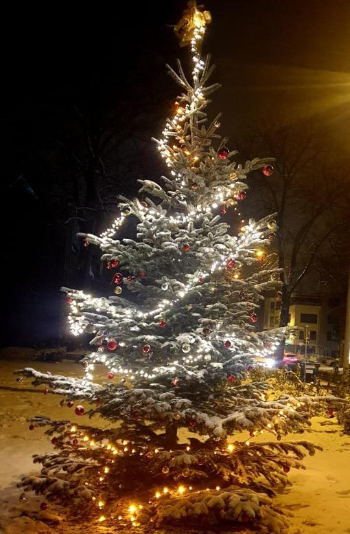 Baum im Schnee