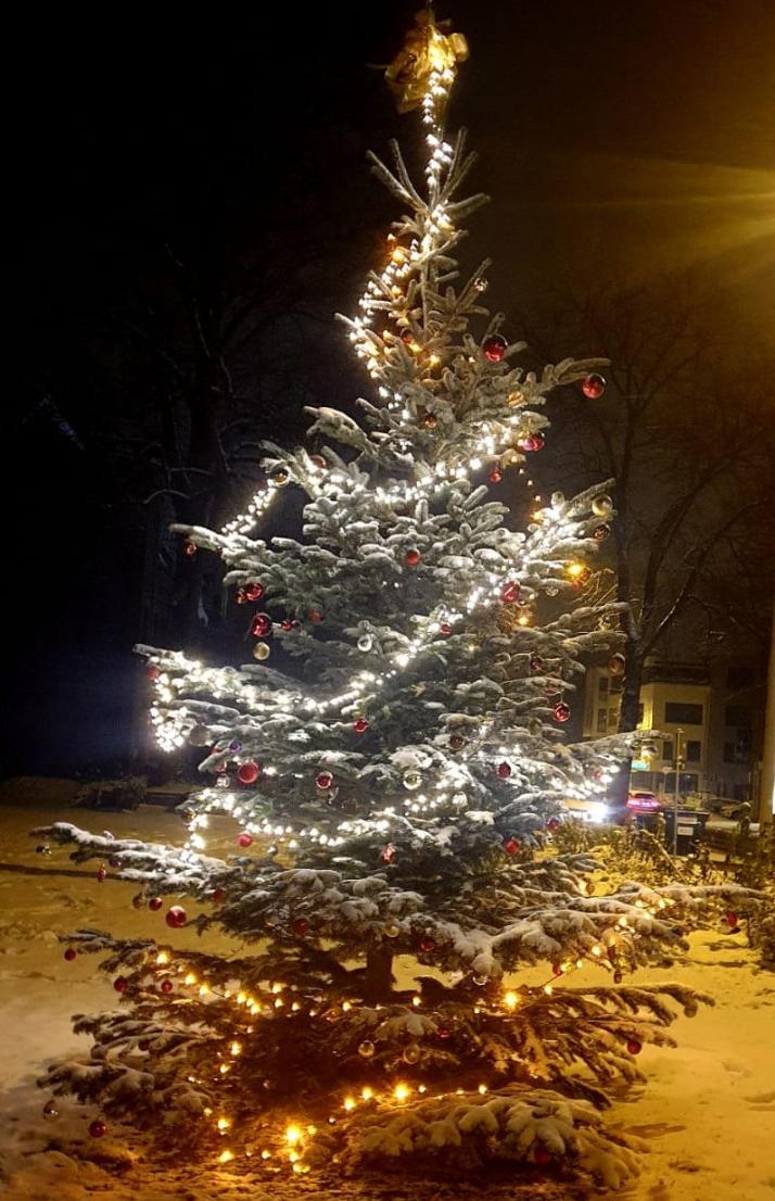 Baum im Schnee