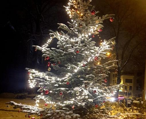 Baum im Schnee
