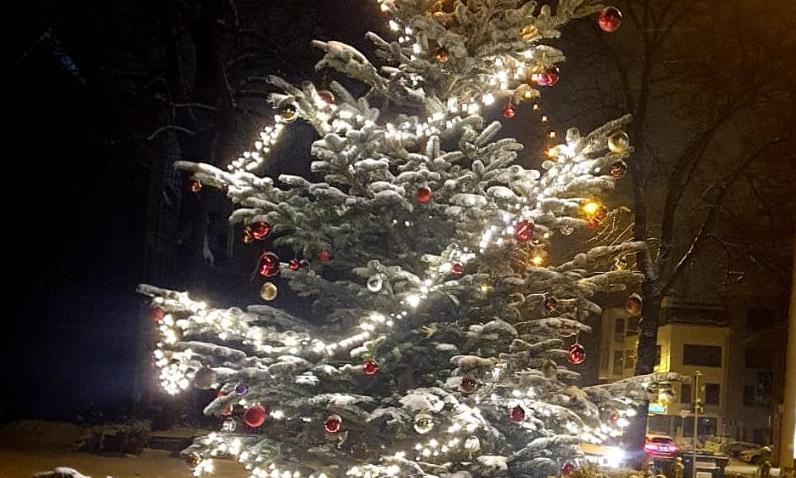 Baum im Schnee