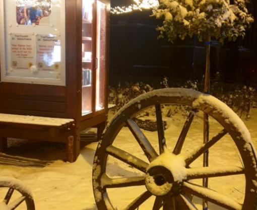 Schrank im Schnee