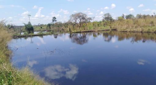 Fischteich