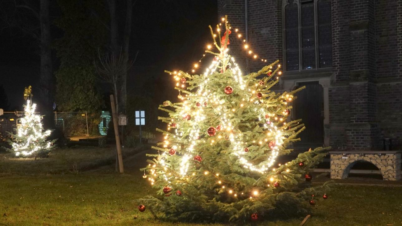 beleuchtete Weihnachtsbäume