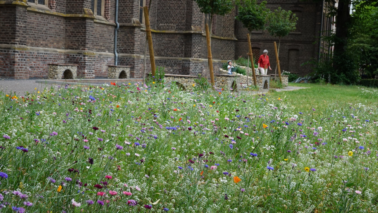 Wildblumen August 2020