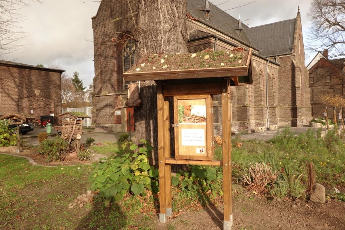 Ein Bienenschaukasten gebaut im November 2020, in dem vom Frühjahr bis in den Herbst hinein ein Bienenvolk einzieht.