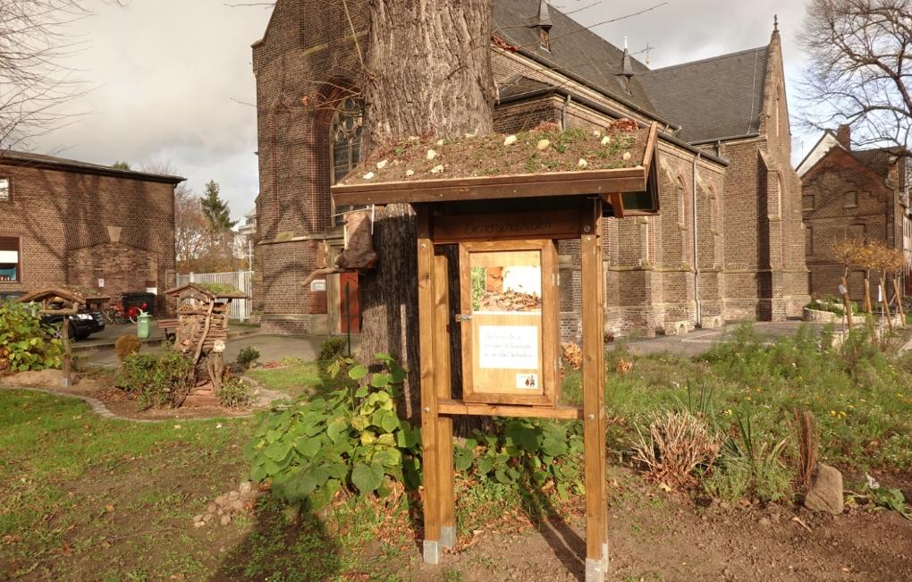 Ein Bienenschaukasten gebaut im November 2020, in dem vom Frühjahr bis in den Herbst hinein ein Bienenvolk einzieht.