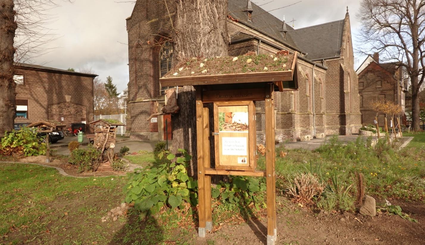Ein Bienenschaukasten gebaut im November 2020, in dem vom Frühjahr bis in den Herbst hinein ein Bienenvolk einzieht. 