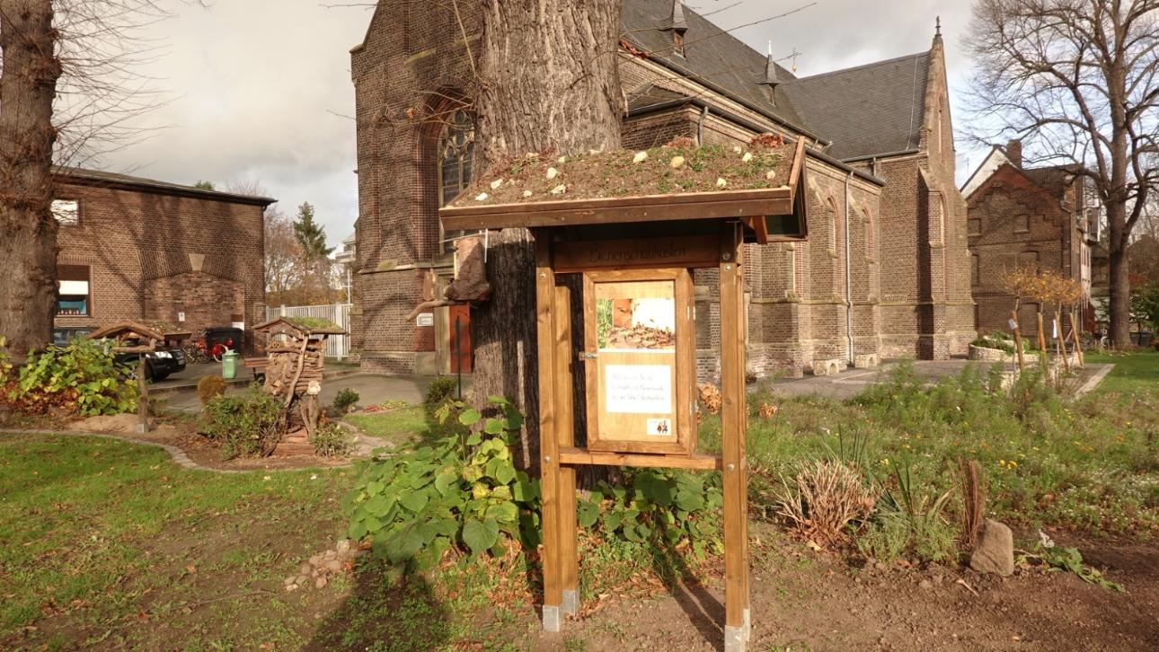 Ein Bienenschaukasten gebaut im November 2020, in dem vom Frühjahr bis in den Herbst hinein ein Bienenvolk einzieht.