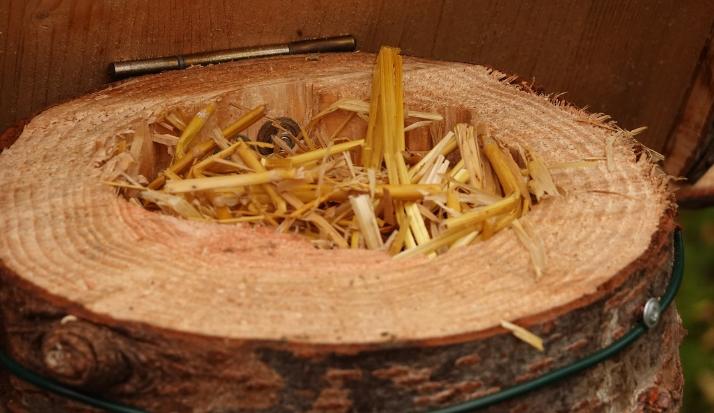 Im Inneren des Marienkäfer-Winterquartiers findet sich Stroh und Heu zum Einnisten,